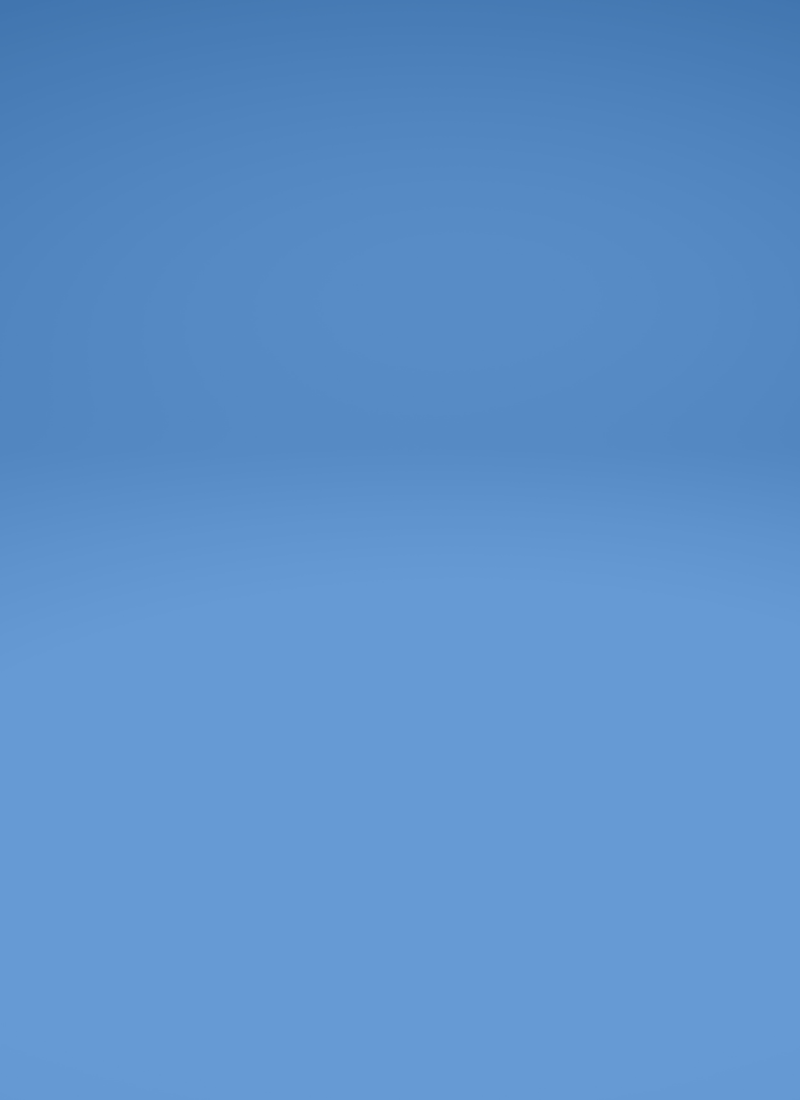 Mission Authority The leader must state for themselves and the company: This is who we are and how we operate